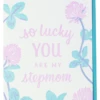 The Little Apple Stepmom Mother's Day Greeting Card