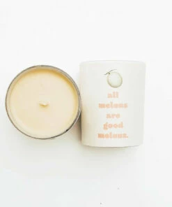 The Little Apple HOMEBODY All Melons Are Good Melons Self Love Candle