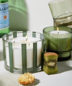 HOMEBODY Paddywax Al Fresco Candle Misted Lime