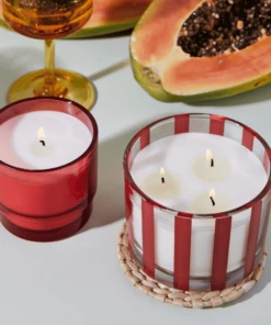 Paddywax Al Fresco Candle Rosewood Vanilla HOMEBODY