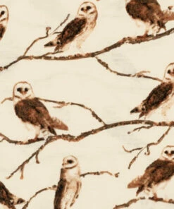 CLOSET Milkbarn Bamboo Owl Footed Romper