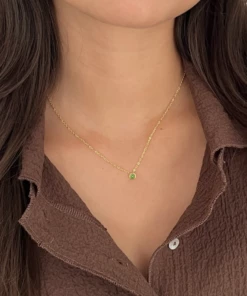 The Little Apple Tamara Dainty Gold Necklace