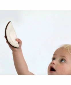 The Little Apple Coco The Coconut Teether LITTLE APPLES