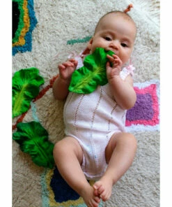 The Little Apple Kendall The Kale Teether LITTLE APPLES
