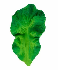 The Little Apple Kendall The Kale Teether LITTLE APPLES